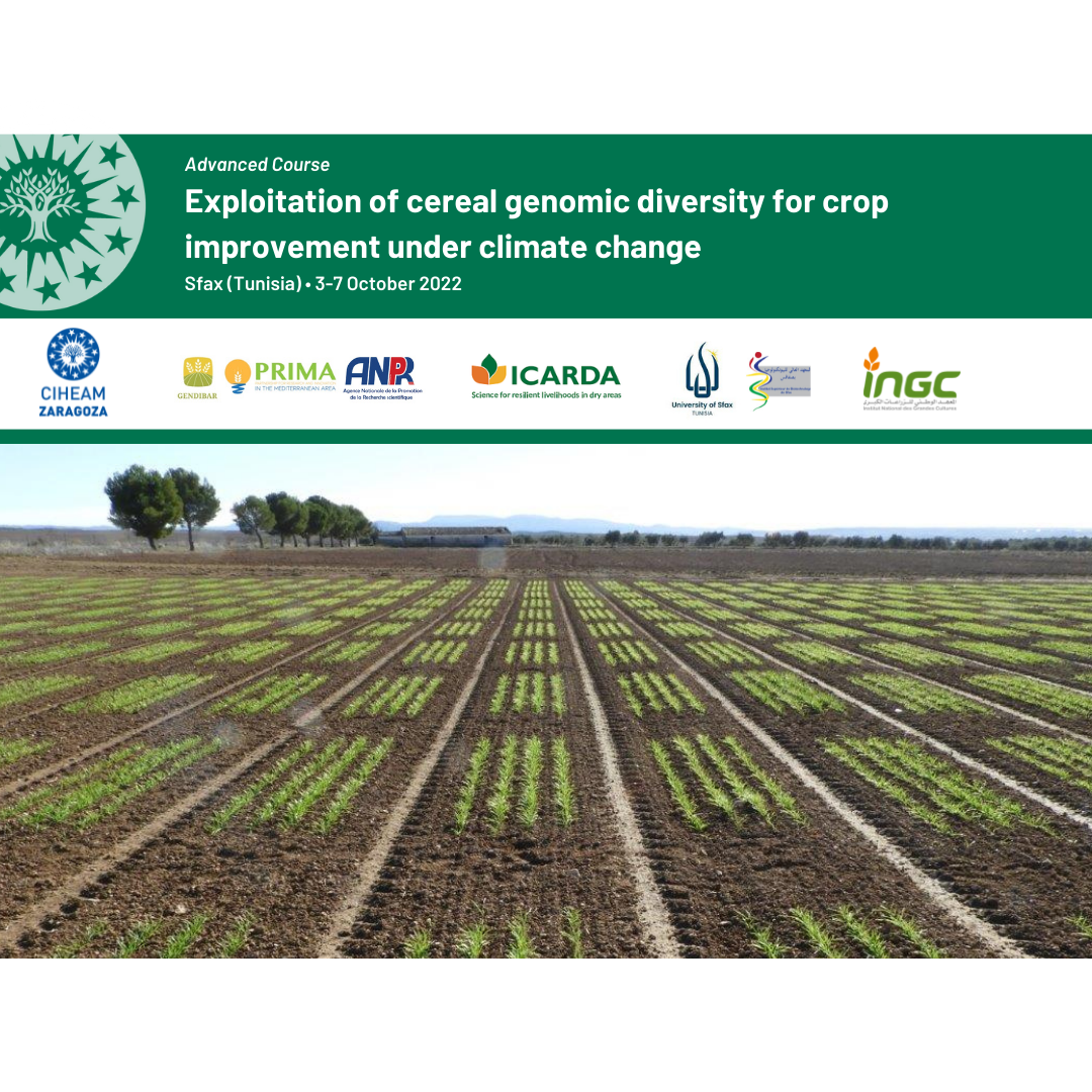 New course on the exploitation of cereal genomic diversity for crop improvement under climate change