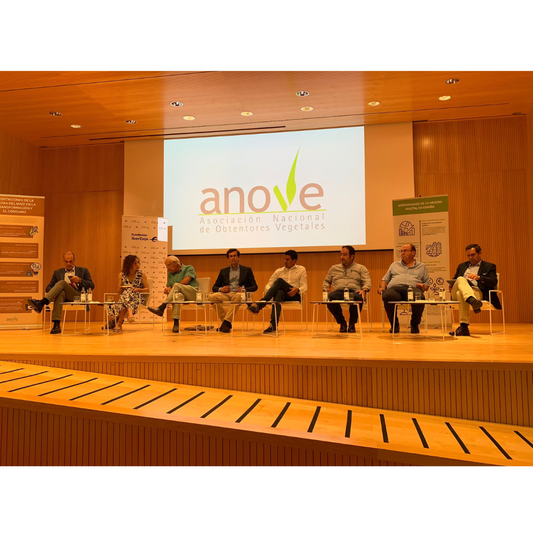 Presentation of the report on the contribution of maize breeding in Spain