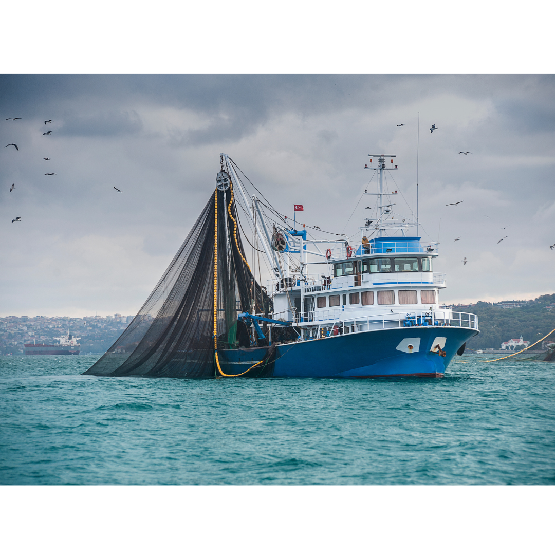 Specialization courses for fisheries scientific observers