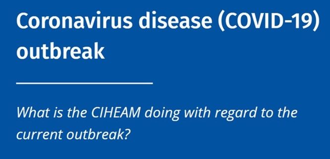 Coronavirus (COVID-19) update