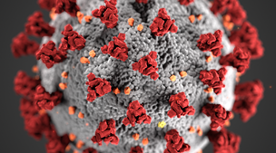 Coronavirus (COVID-19) update