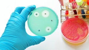 IAMZ-CIHEAM and OIE, with the technical support of FAO, launch a new course on antimicrobial resistance and One Health