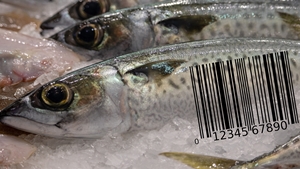 Innovative Tools and Methods for Ensuring Seafood Authenticity