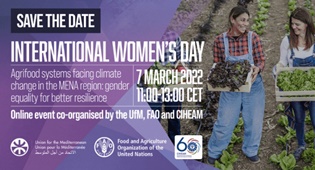 International Women’s Day 2022 – Agrifood systems facing climate change in the MENA region: gender equality for better resilience￼