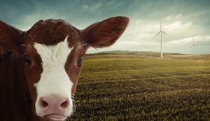 Livestock and climate change: Assessment of emissions, mitigation options and adaptation strategies: New online advanced course from 19 to 30 October 2020
