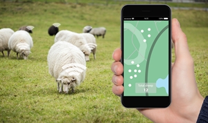 New advanced course on precision livestock farming