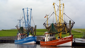 New online course with FAO on the organization of fisheries statistics systems