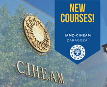 Precision Agriculture, Social Innovation and Wastewater Reuse, in IAMZ’S training offer for professionals in the forthcoming academic year