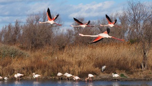 Registration is now open for the advanced course on “Valuation of Ecosystem Services”￼