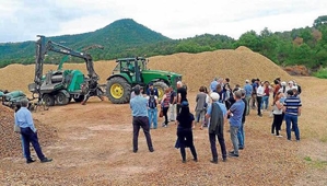 Revitalising rural areas through innovation