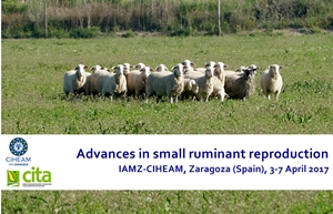 Advances in small ruminant reproduction (Zaragoza, Spain, 3-7 April 2017)￼