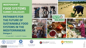 Towards a Mediterranean common vision for the sustainable food systems of tomorrow: 2nd Independent Dialogue of the United Nations Food Systems Summit