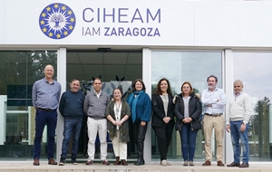 Training course on olive pathogens at CIHEAM Zaragoza in November 2020