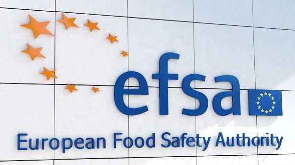 Training for EFSA FEEDAP panel staff on risk assessment for feed additives