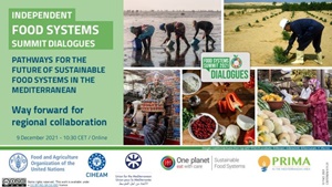 Way forward for regional collaboration