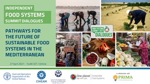 What actions for more sustainable food systems in the Mediterranean?