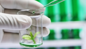 XXIII International Master in Plant Genetics, Genomics and Breeding