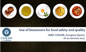 Advanced course on the use of biosensors for food safety and quality (Zaragoza, Spain, 16-20 January 2017)￼
