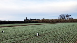 [POSTPONED] – Given the current status and uncertainties surrounding the COVID-19 virus, we are postponing the course on GHG assessment and mitigation in agriculture until the autumn. The new dates will be announced in due time.