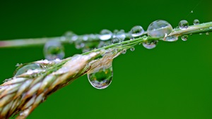[POSTPONED] – Given the current status and uncertainties surrounding the COVID-19 virus, we are postponing the course on wastewater reuse for agriculture until the autumn. The new dates will be announced in due time.￼