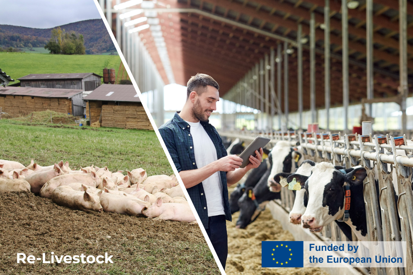 CIHEAM Zaragoza, part of the European Project Re-Livestock