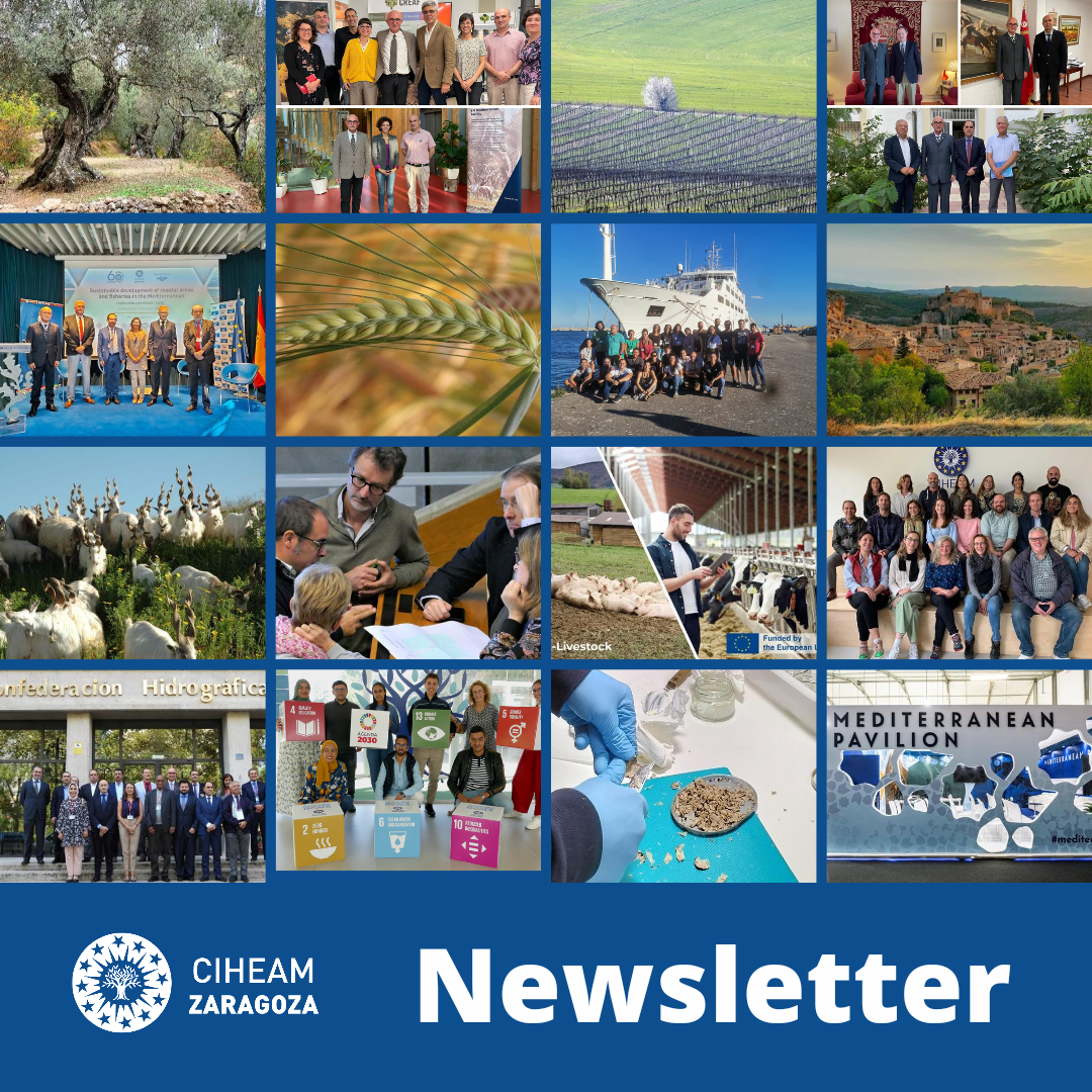 Launching of CIHEAM Zaragoza Newsletter