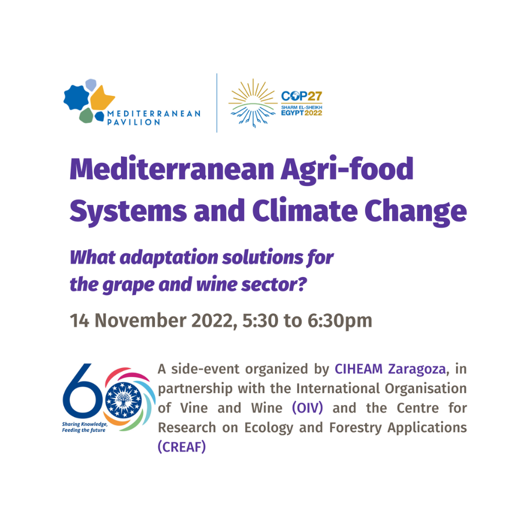CIHEAM Zaragoza organiza un evento paralelo en la COP27 dedicado al sector de la uva y el vino