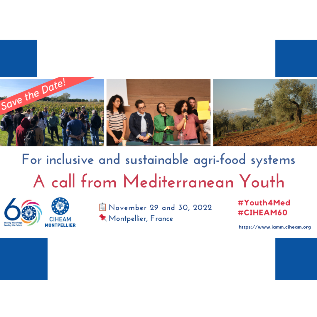 Un llamamiento de los jóvenes del Mediterráneo para un sistema agroalimentario sostenible