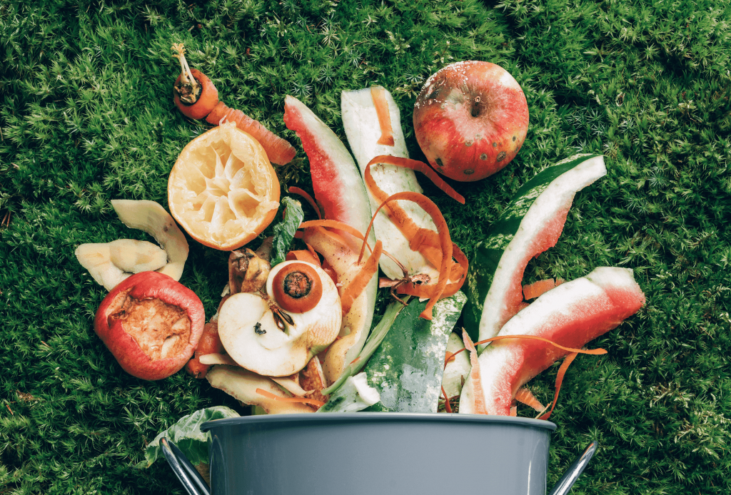 Food loss and waste