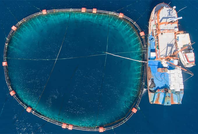 Aquaculture
