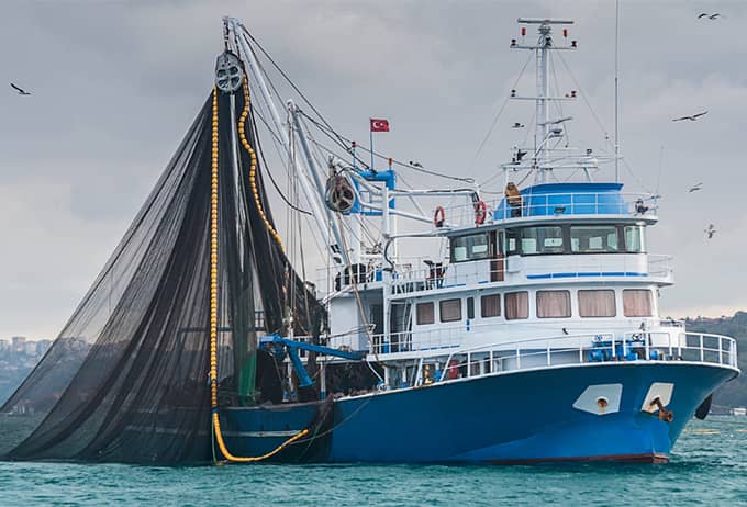 Sustainable Fisheries Management