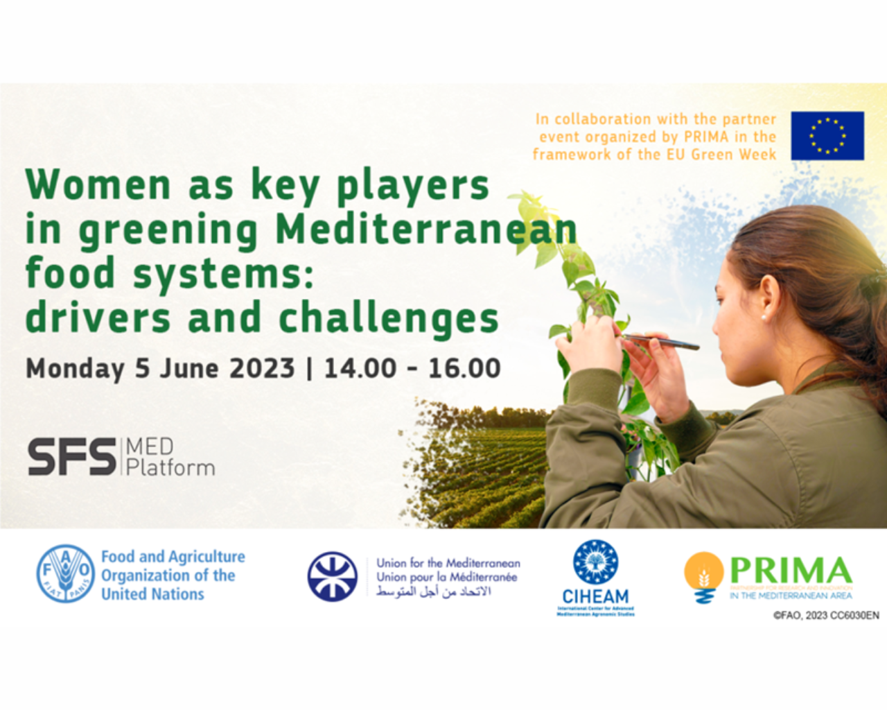 Las mujeres como factor clave para lograr sistemas alimentarios más ecológicos en el Mediterráneo: incentivos y desafíos