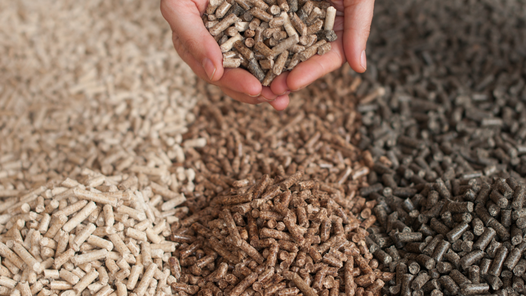 Fuentes alternativas y emergentes de piensos y recursos forrajeros: un paso más hacia sistemas sostenibles de producción ganadera