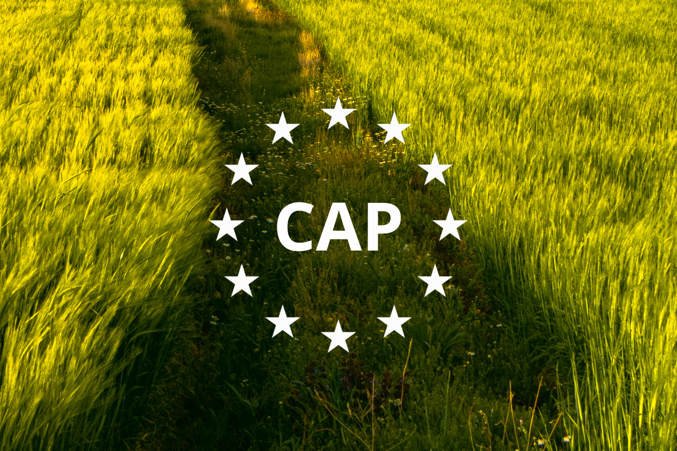 Can the CAP overcome the challenges of the European agrifood system?