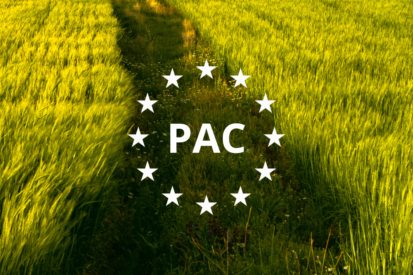 ¿Será la PAC capaz de afrontar los retos del sistema agroalimentario europeo?