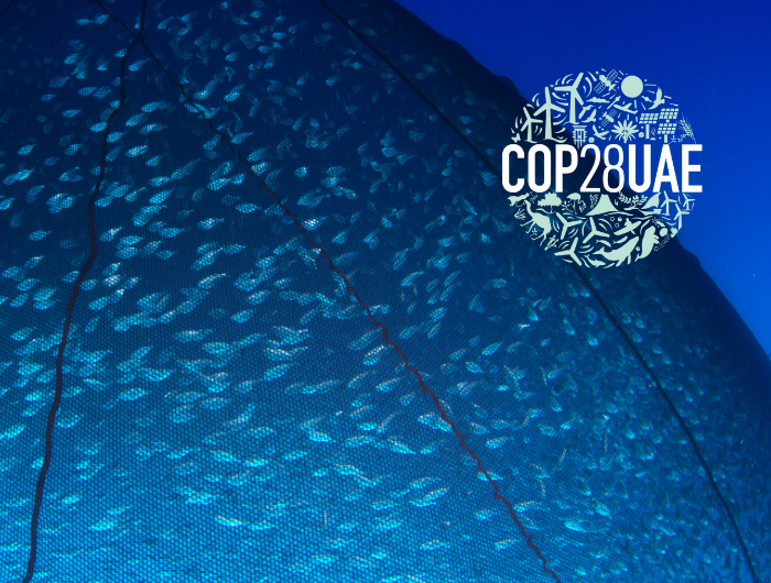 La economía azul mediterránea frente al cambio climático