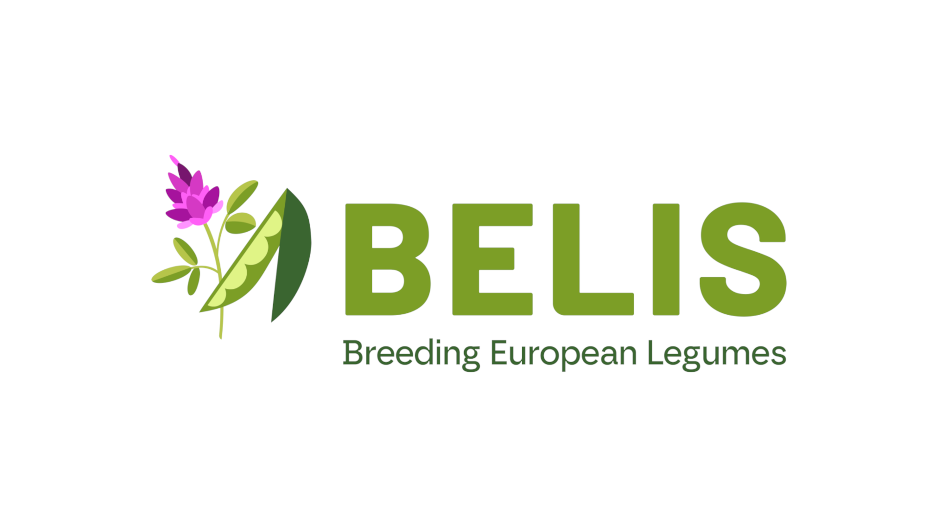 BELIS