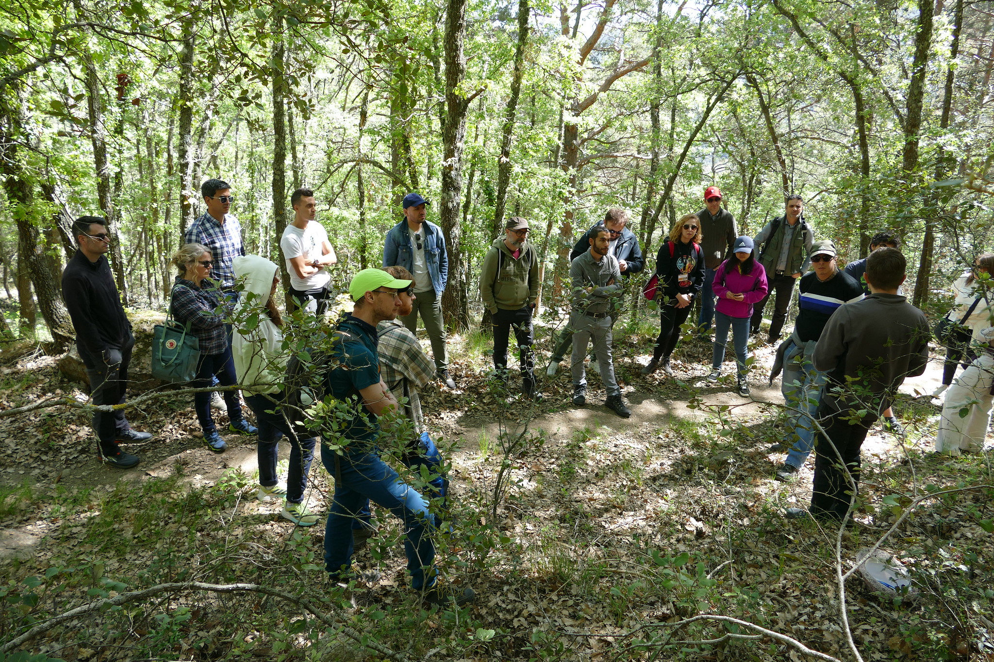 Herramientas frente a los retos y amenazas de los bosques mediterráneos
