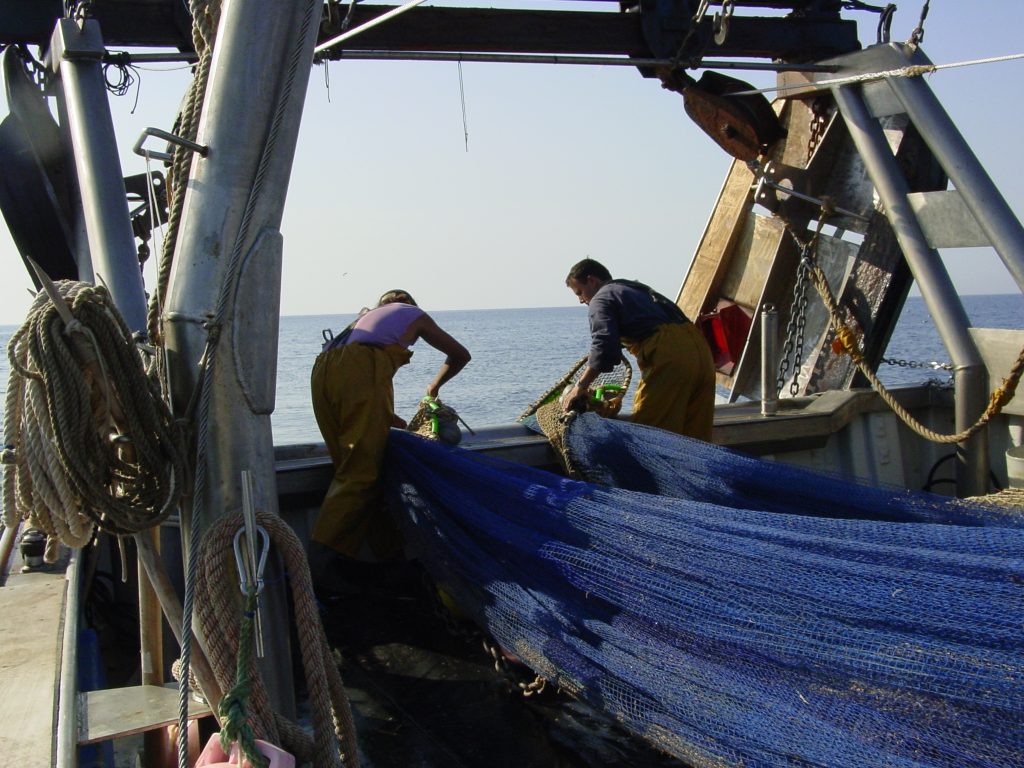 Fishing impacts