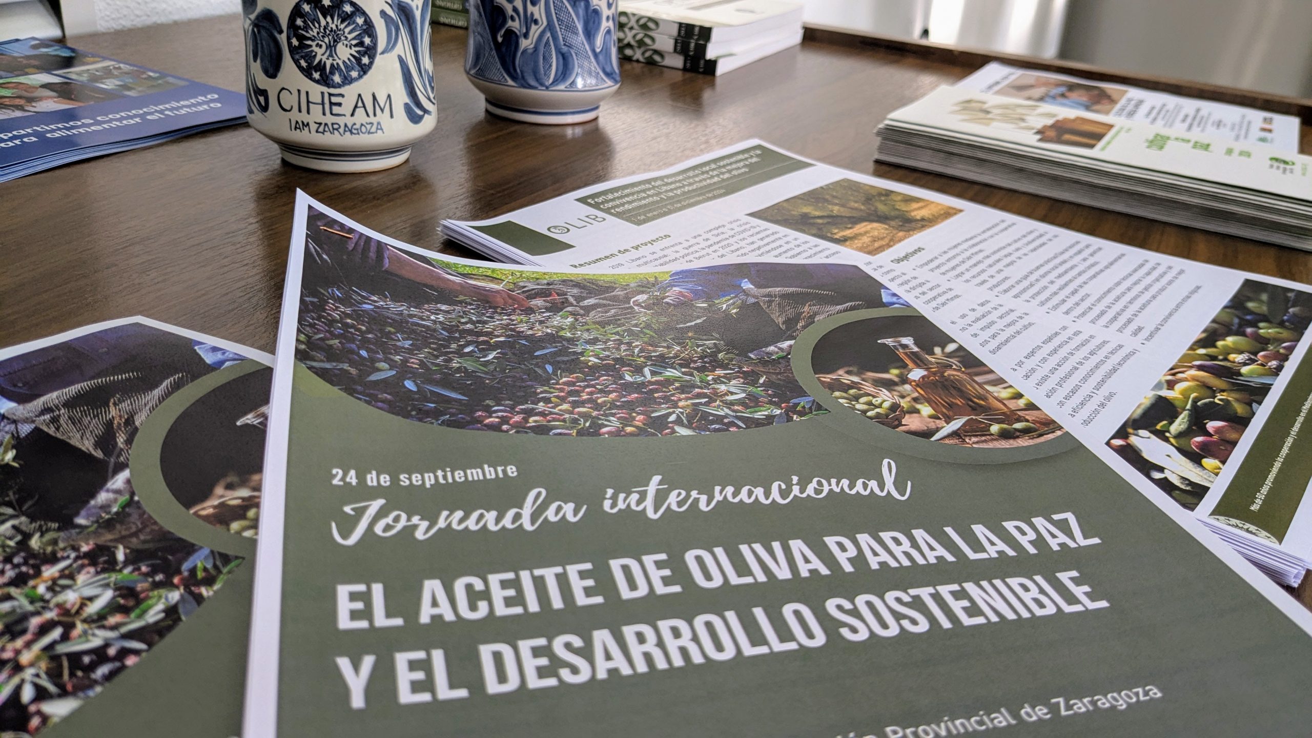 Olivicultura y desarrollo sostenible: Cooperación para impulsar el crecimiento social, económico y ambiental en el Mediterráneo