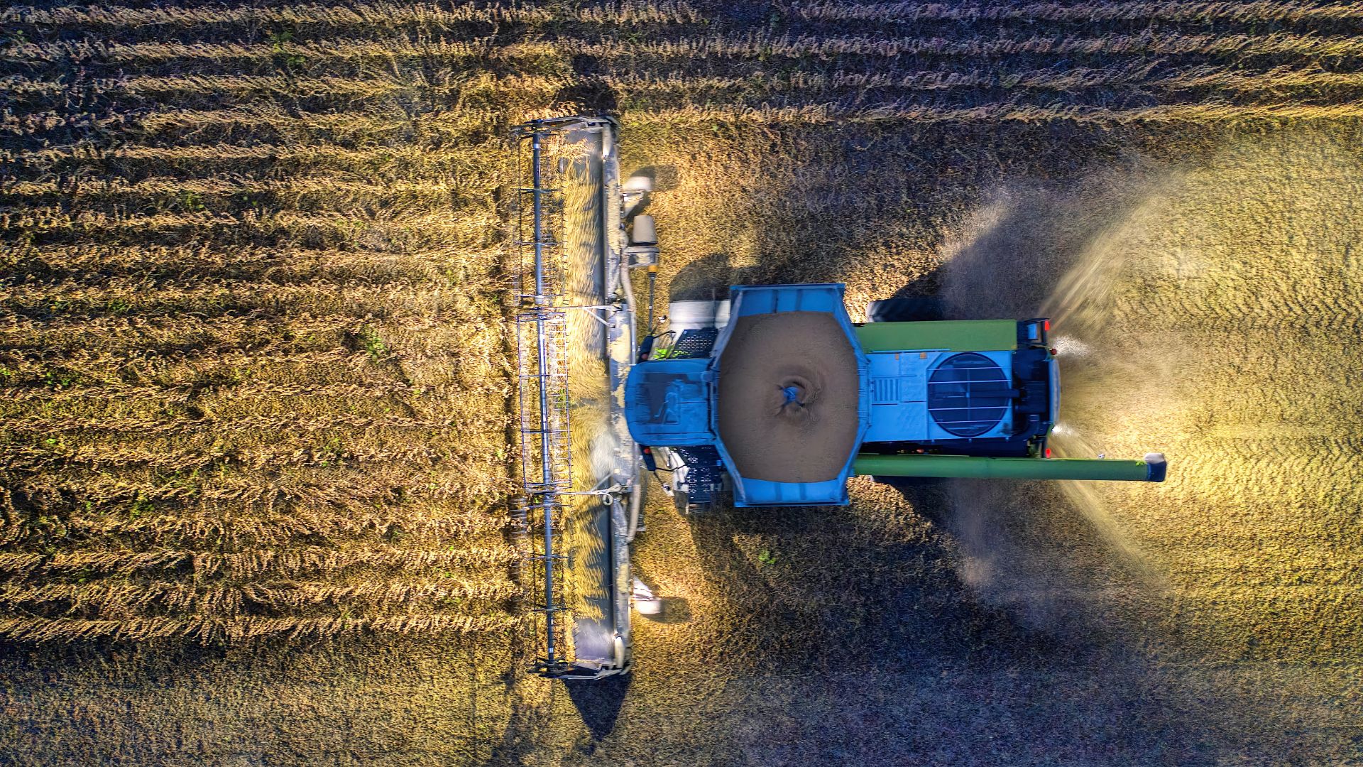 Expertos europeos analizan en Sevilla y Huelva medidas innovadoras para mejorar las condiciones laborales en agricultura