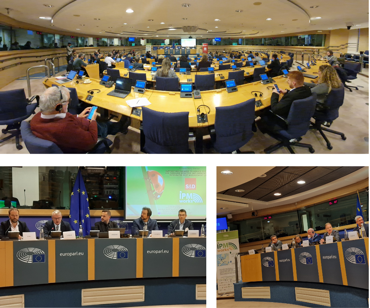 IPMWORKS reúne a responsables políticos de la UE para avanzar en la protección sostenible de los cultivos
