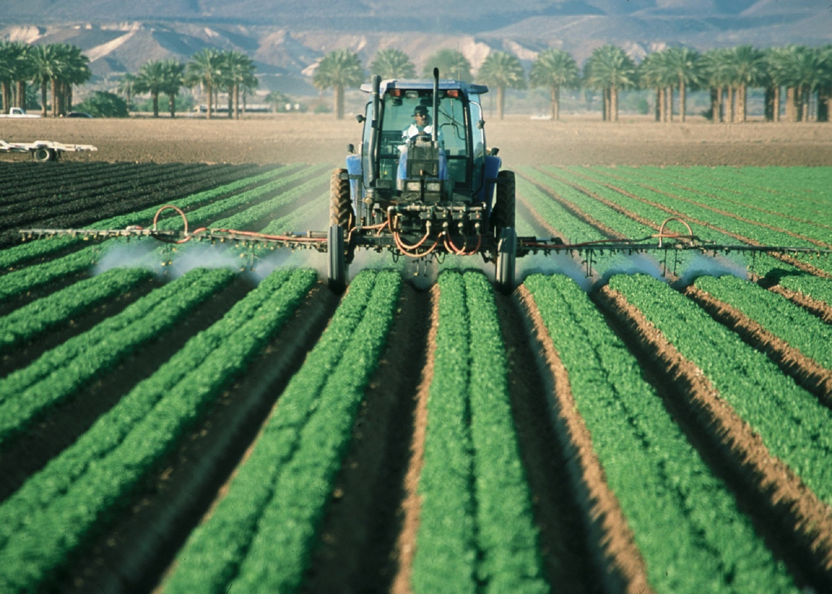 La cultura de prevención de riesgos laborales en el sector agropecuario Mediterráneo