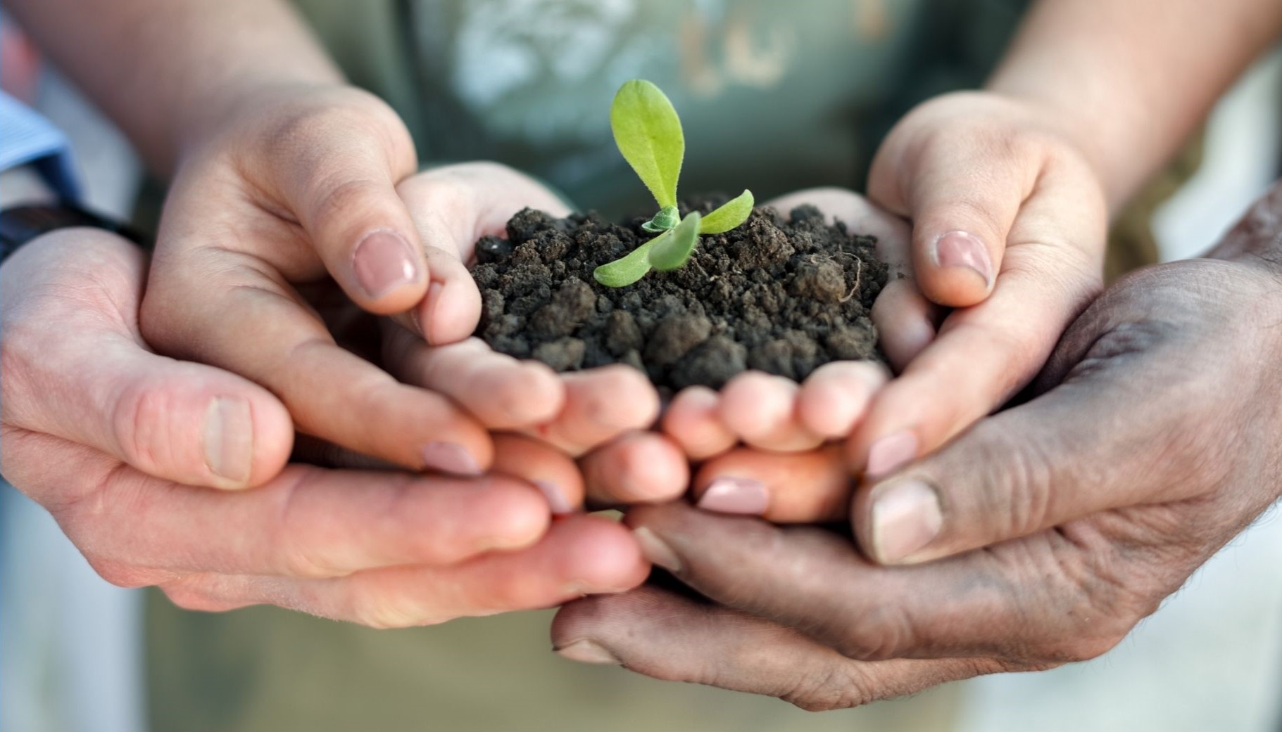 Nuevos modelos de cooperación agroalimentaria para el desarrollo en un contexto de crisis geopolítica