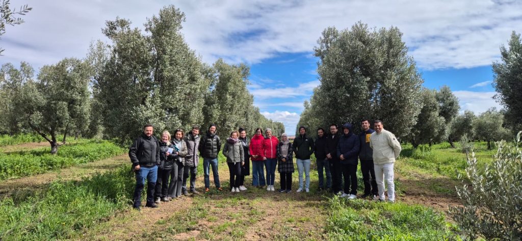 Participantes durante la visita técnica a una olivar que aplica técnicas de agricultura regenerativa en marzo de 2026.